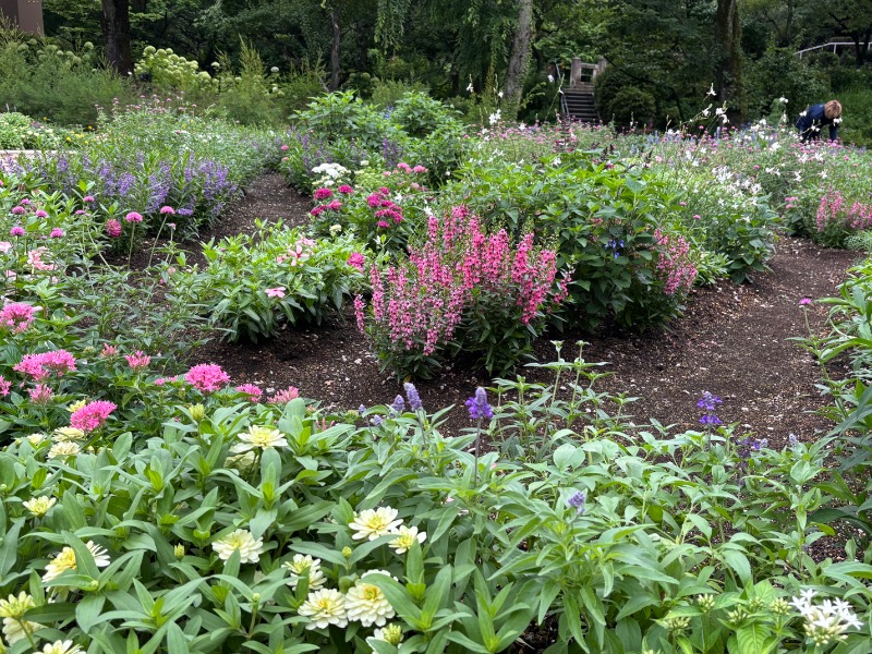ゆき🍄さんのよみうりランド眺望温泉 花景の湯のサ活写真
