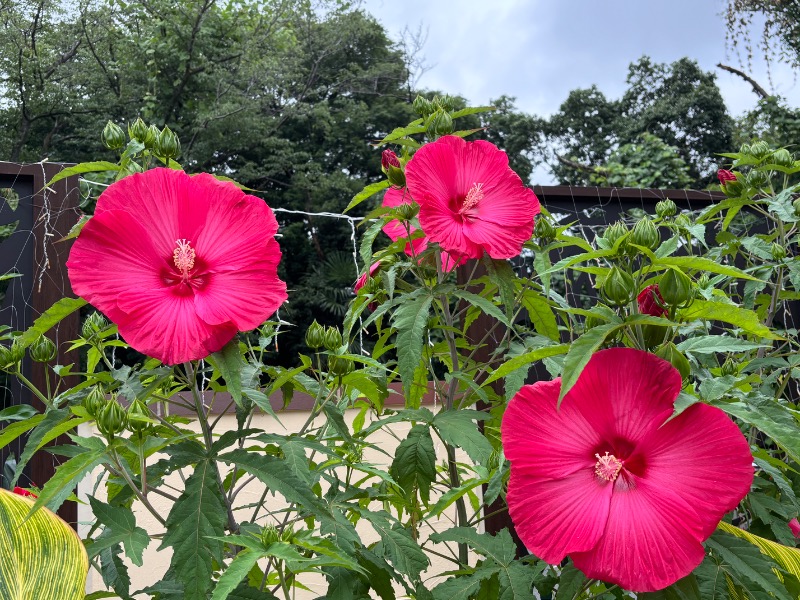 ゆき🍄さんのよみうりランド眺望温泉 花景の湯のサ活写真