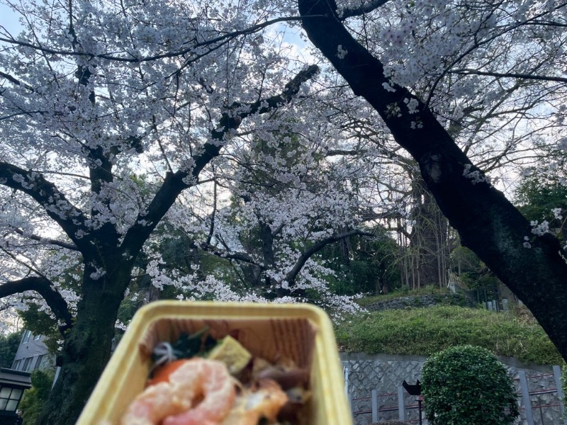 🔥🐱さうにゃこ🐱🔥さんのCOCOFURO かが浴場のサ活写真