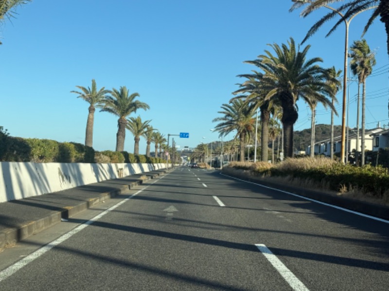 空之輔さんの亀遊舘のサ活写真