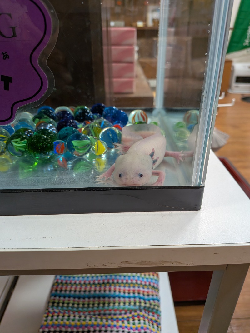 YuZuさんの富士八景の湯のサ活写真