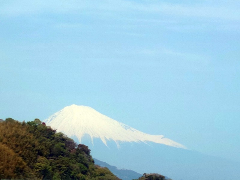 IeIさんの駿河健康ランドのサ活写真