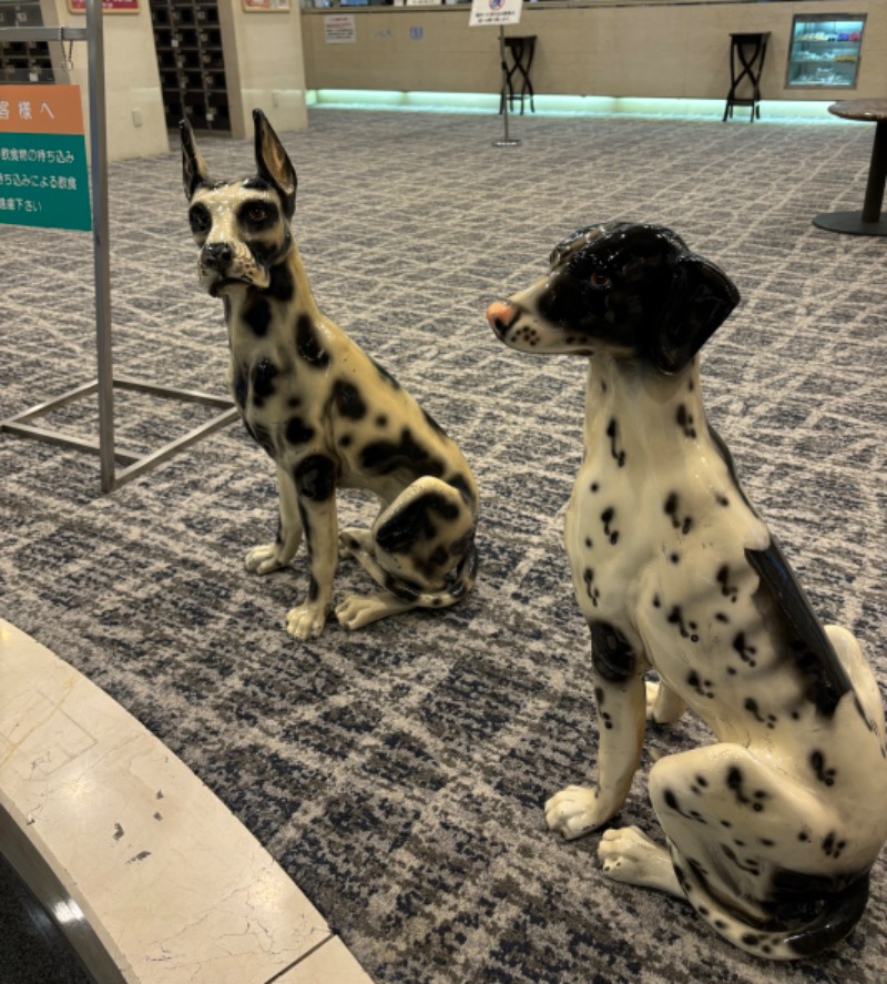 孤高のサウナー　悠（Hiro）さんのサウナ&カプセル フジのサ活写真