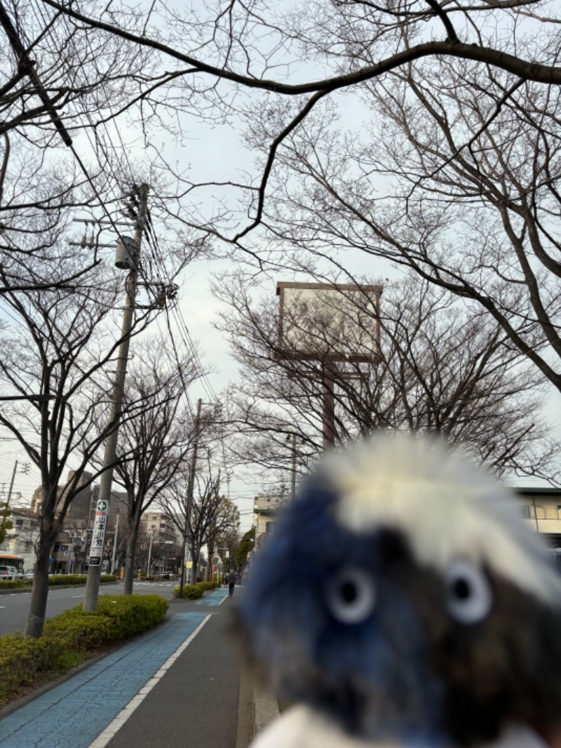 シロクマさんのスーパー銭湯湯処葛西のサ活写真