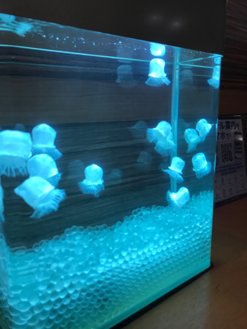 tacchy 魔都サッポロがスキすぎるさんの石狩の湯 ドーミーインPREMIUM札幌のサ活写真