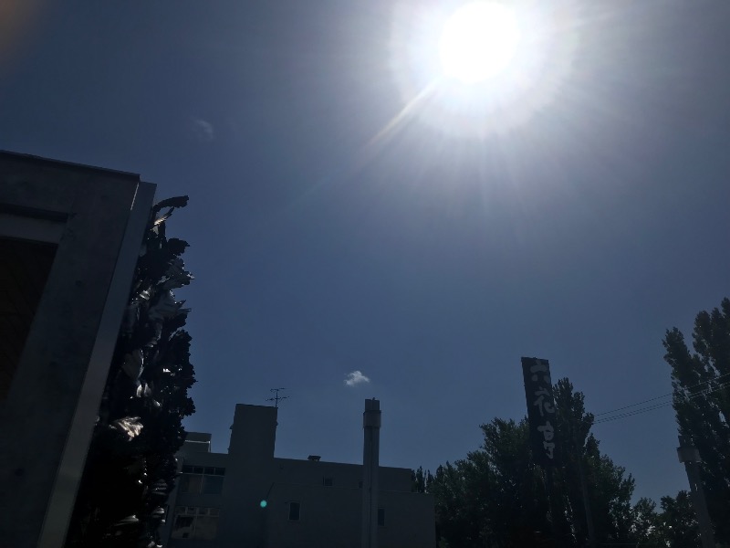 tacchy 魔都サッポロがスキすぎるさんの小金湯温泉 湯元 小金湯のサ活写真