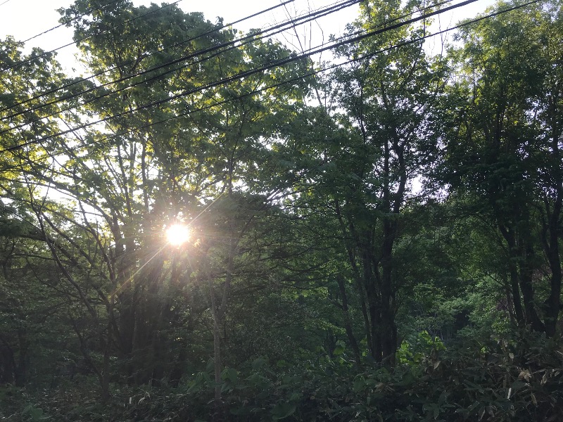 tacchy 魔都サッポロがスキすぎるさんのスポーツアカデミー ブランチ 札幌月寒のサ活写真