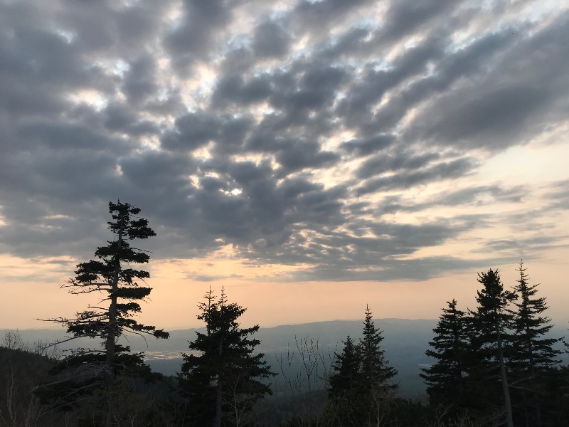tacchy 魔都サッポロがスキすぎるさんの十勝岳温泉 凌雲閣のサ活写真