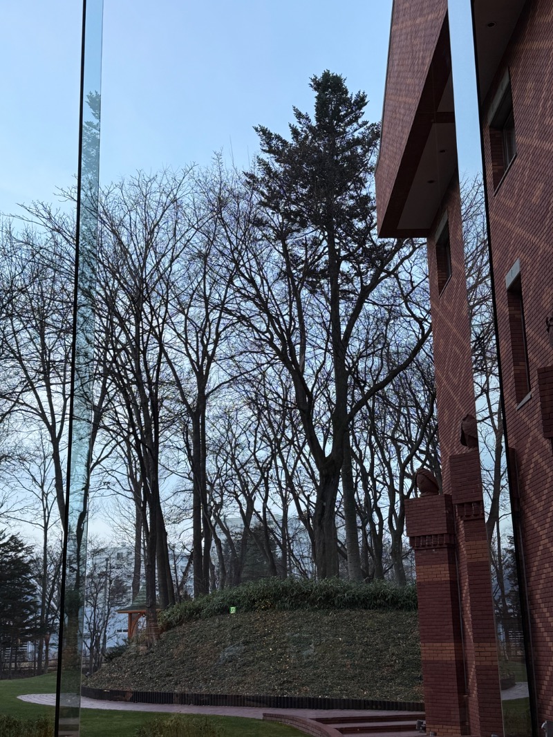 モモヒデさんの森のスパリゾート 北海道ホテルのサ活写真