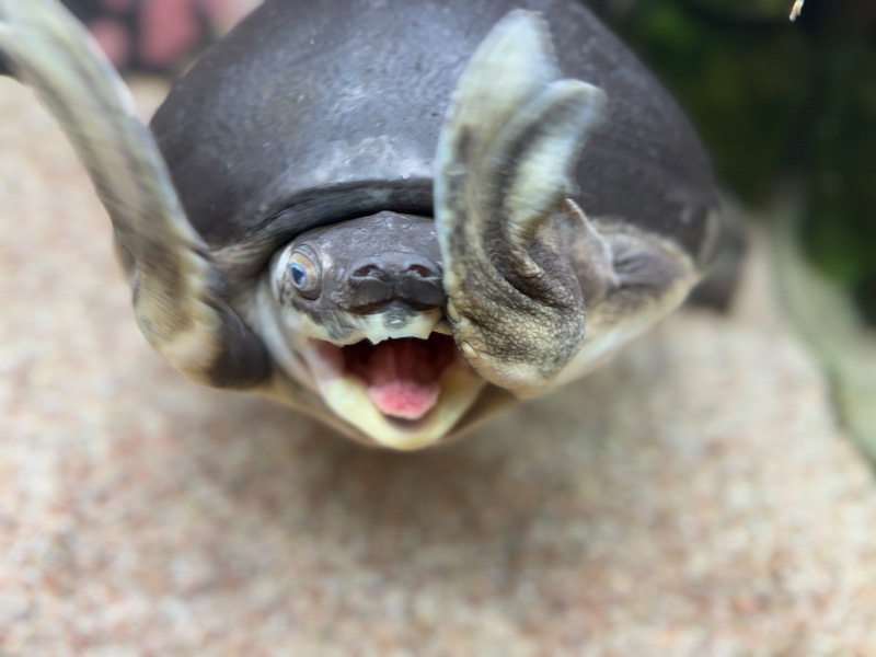 ゆっきー🐼さんの松本湯のサ活写真