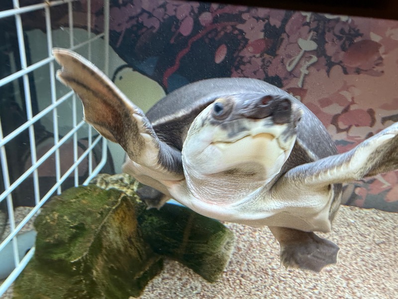 ゆっきー🐼さんの松本湯のサ活写真