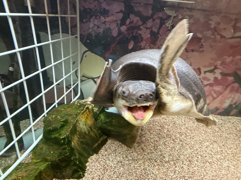 ゆっきー🐼さんの松本湯のサ活写真