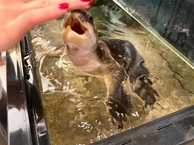 ゆっきー🐼さんの松本湯のサ活写真