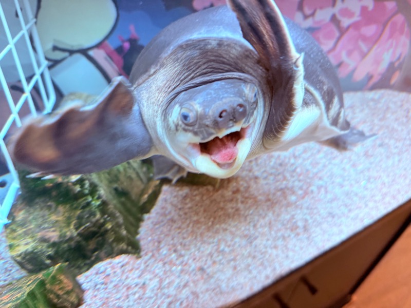 ゆっきー🐼さんの松本湯のサ活写真