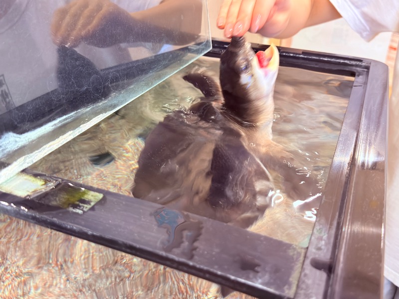 ゆっきー🐼さんの松本湯のサ活写真