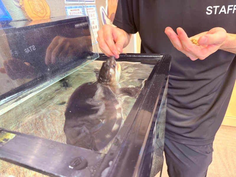 ゆっきー🐼さんの松本湯のサ活写真