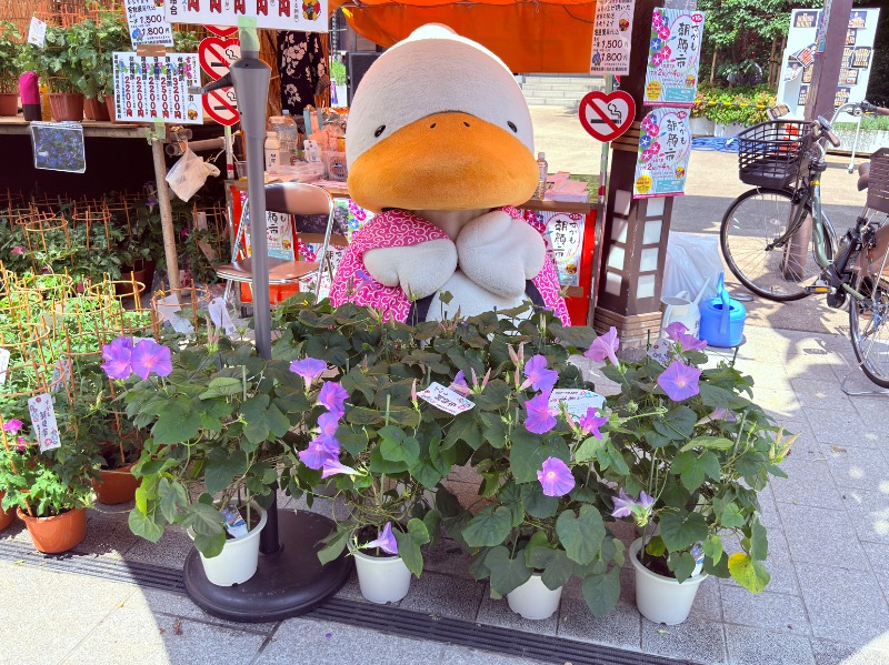 ゆっきー🐼さんの巣鴨湯のサ活写真