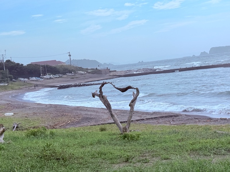 ゆっきー🐼さんのBeach Sauna(ゆうみ Sauna Cafe)のサ活写真