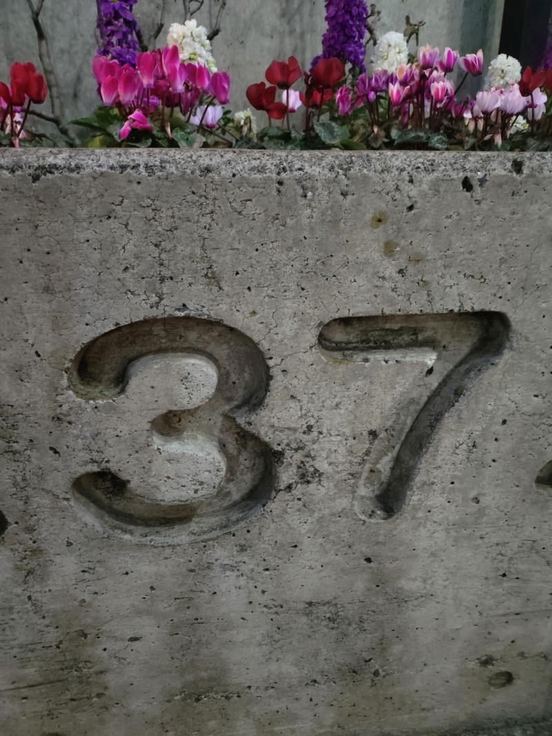 kentaroさんのパブリバ八光のサ活写真