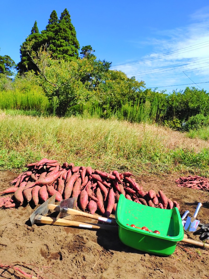 kentaroさんのむつざわ温泉つどいの湯のサ活写真