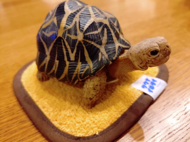 kentaroさんのsauna&bath NiHITARUのサ活写真