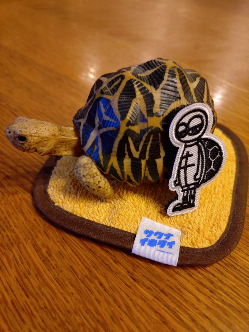 kentaroさんのsauna&bath NiHITARUのサ活写真