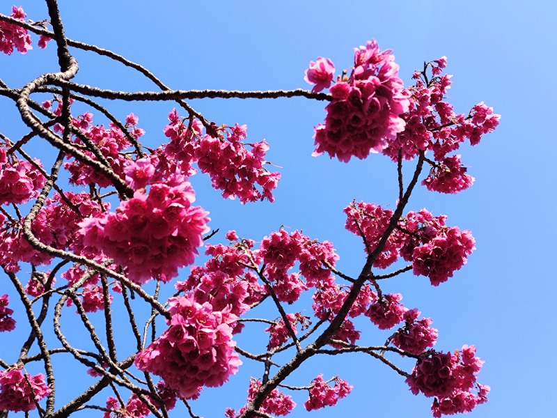 kentaroさんのsauna&bath NiHITARUのサ活写真