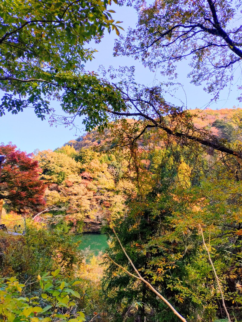 kentaroさんのさぷらすのサ活写真