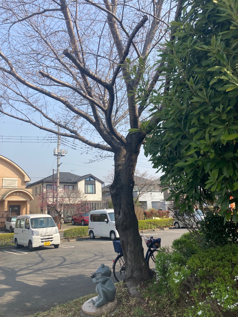 すえぞう⚾️🏈🎭🍜🍺♨️さんの天然温泉 真名井の湯 大井店のサ活写真