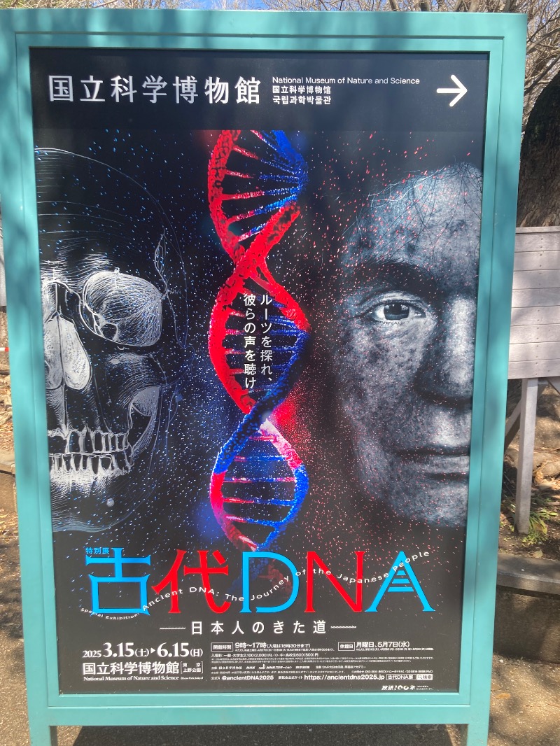 すえぞう⚾️🏈🎭🍜🍺♨️さんのサウナ&カプセルホテル 北欧のサ活写真