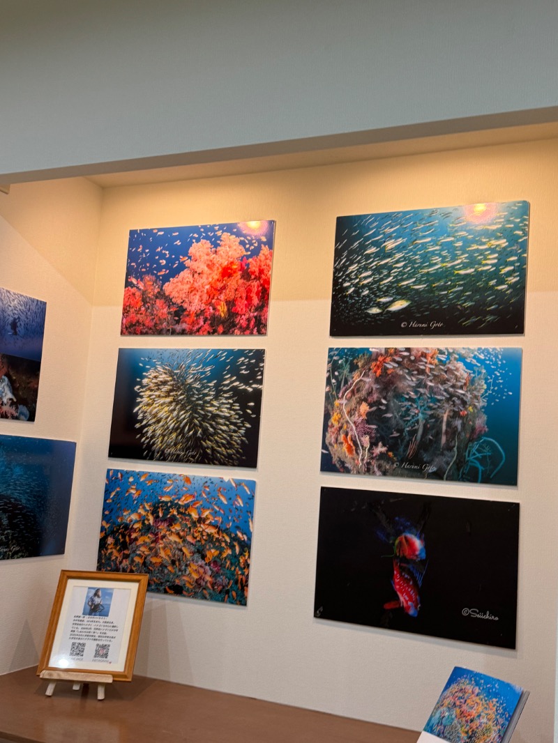 ︎さんの伊東マリンタウンシーサイドスパのサ活写真