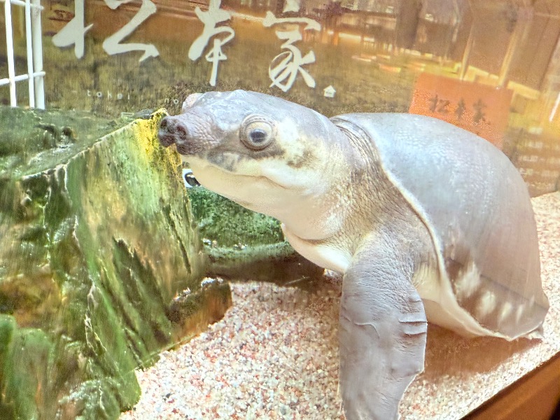 ゆっきー🐼さんの松本湯のサ活写真