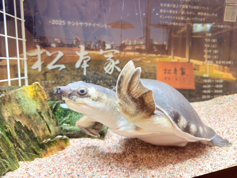 ゆっきー🐼さんの松本湯のサ活写真