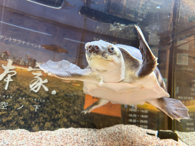 ゆっきー🐼さんの松本湯のサ活写真