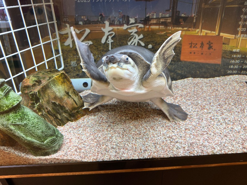 ゆっきー🐼さんの松本湯のサ活写真