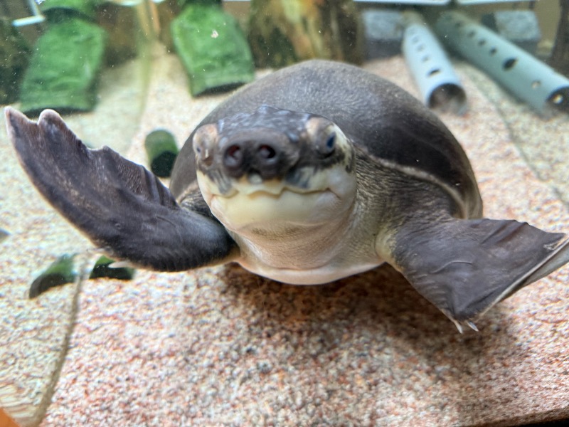 ゆっきー🐼さんの松本湯のサ活写真