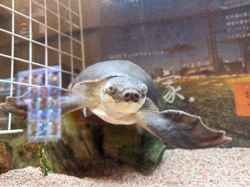 ゆっきー🐼さんの松本湯のサ活写真