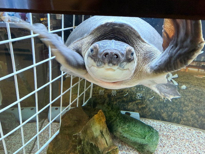 ゆっきー🐼さんの松本湯のサ活写真