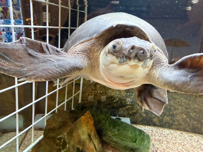 ゆっきー🐼さんの松本湯のサ活写真