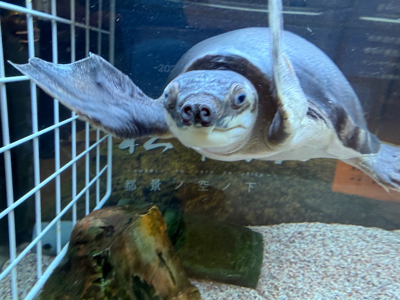 ゆっきー🐼さんの松本湯のサ活写真