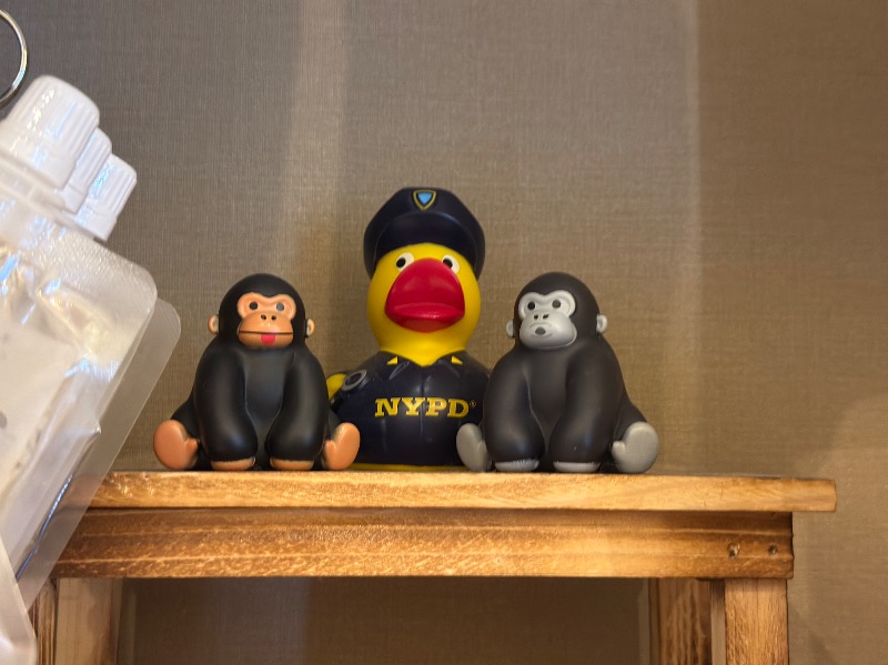 ゆっきー🐼さんの松本湯のサ活写真