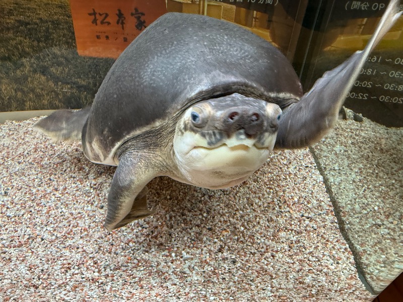 ゆっきー🐼さんの松本湯のサ活写真