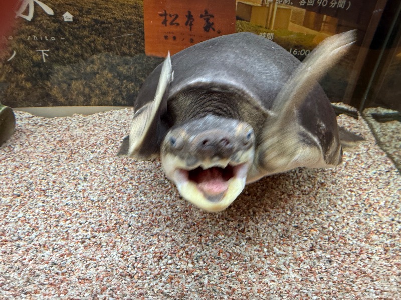 ゆっきー🐼さんの松本湯のサ活写真