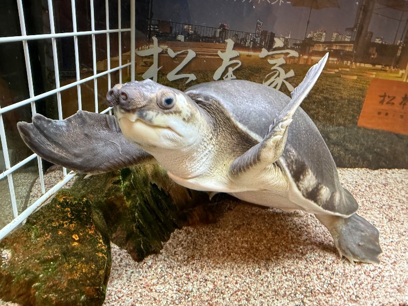 ゆっきー🐼さんの松本湯のサ活写真