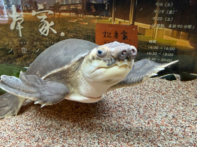 ゆっきー🐼さんの松本湯のサ活写真