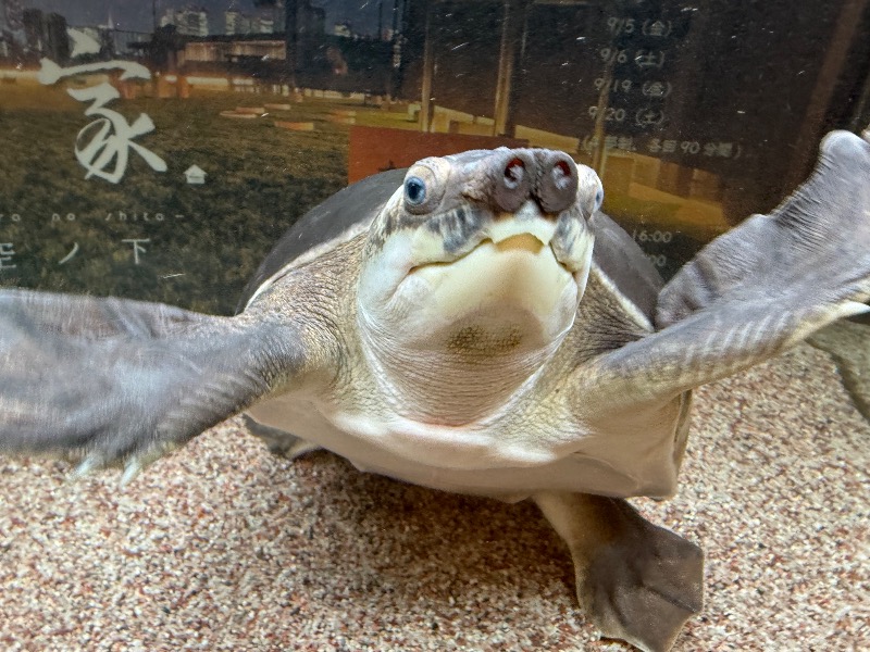 ゆっきー🐼さんの松本湯のサ活写真