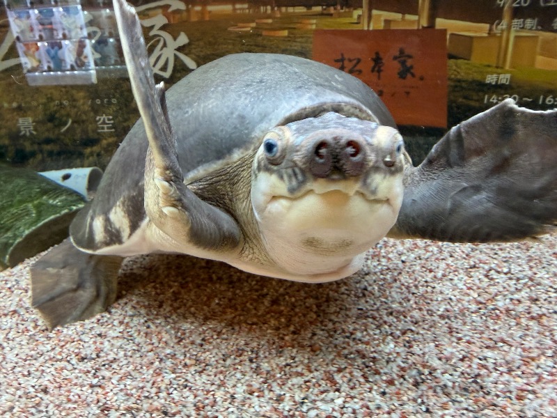 ゆっきー🐼さんの松本湯のサ活写真