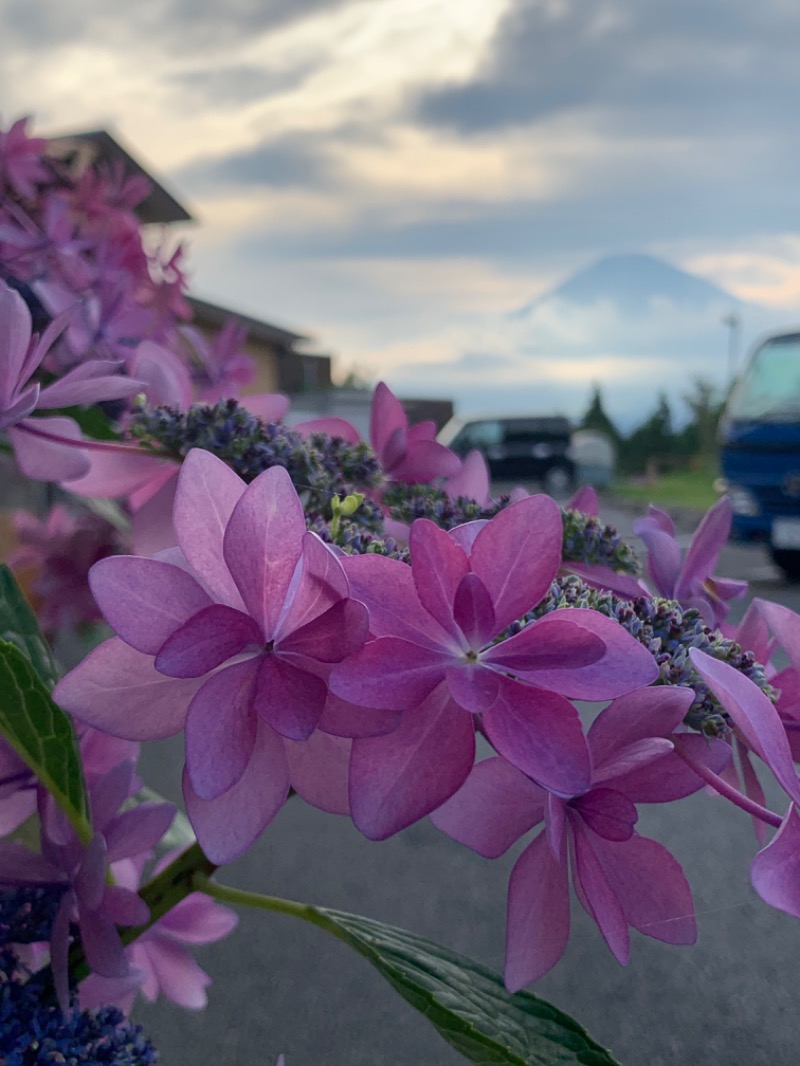 ぉゆきさんさんの富士八景の湯のサ活写真