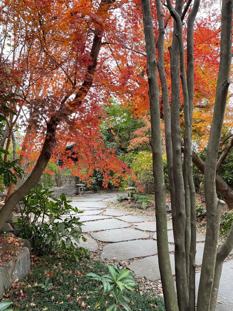 セッキーさんの深谷花園温泉 花湯の森のサ活写真