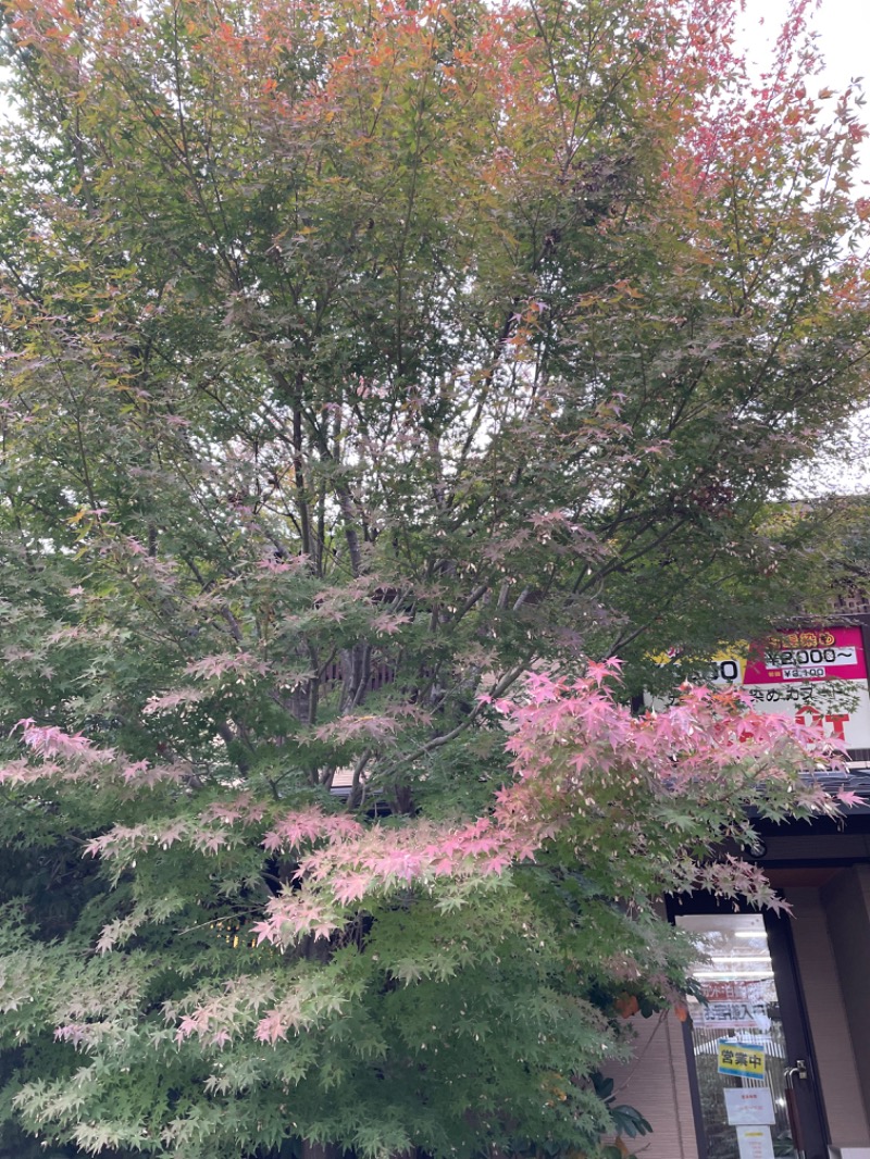 セッキーさんの花湯スパリゾートのサ活写真